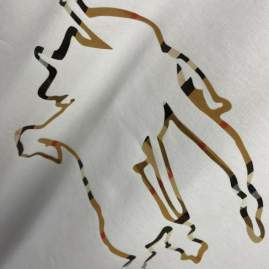 Picture of Burberry T Shirts Short _SKUBurberryXS-Lfstn0619202